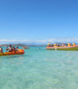 Aerial Tenia kayak